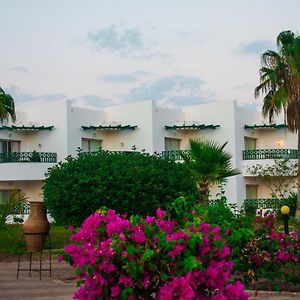 Classic Double Garden View